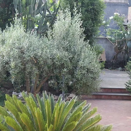 Bouganville Catania